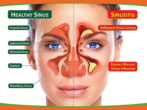 Effective Ways to Get Rid of Lip Lines in 2025: Discover Proven Techniques