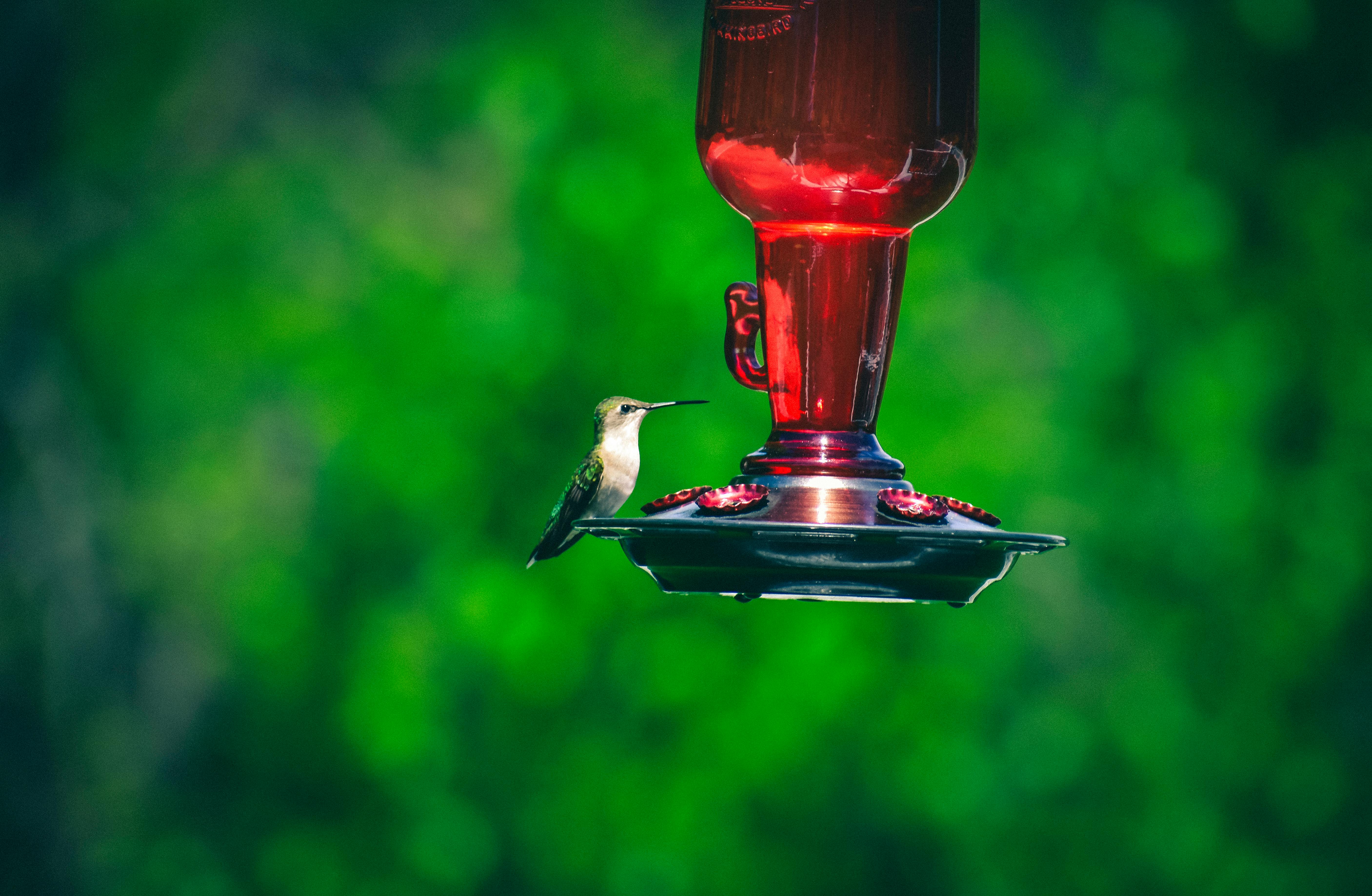 Practical Guide to Deleting Emails and Boosting Inbox Efficiency