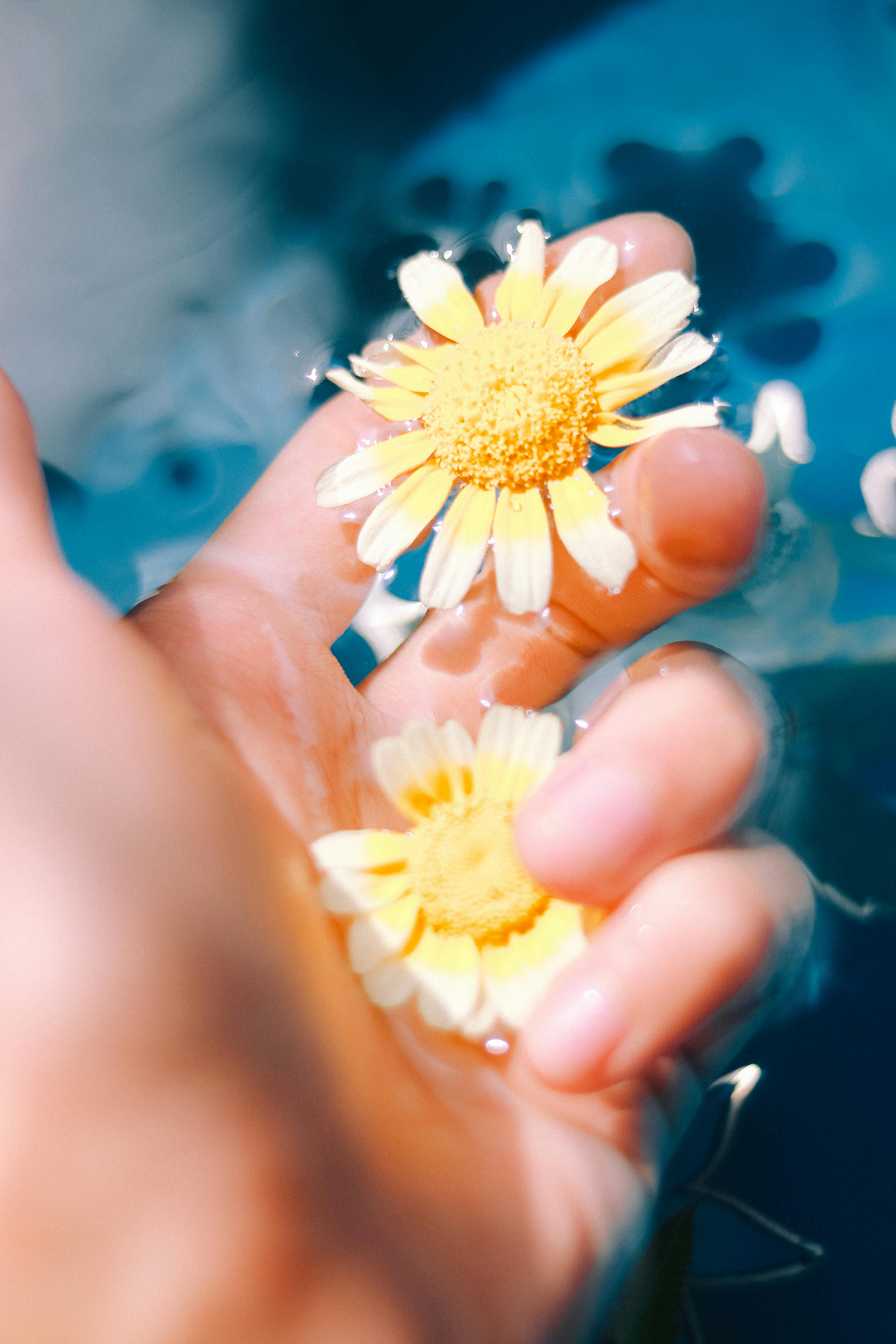 Smart Ways to Speed Up Your Period Naturally in 2025