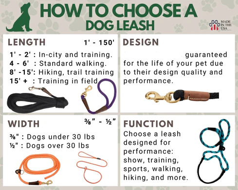 Leash Training Process