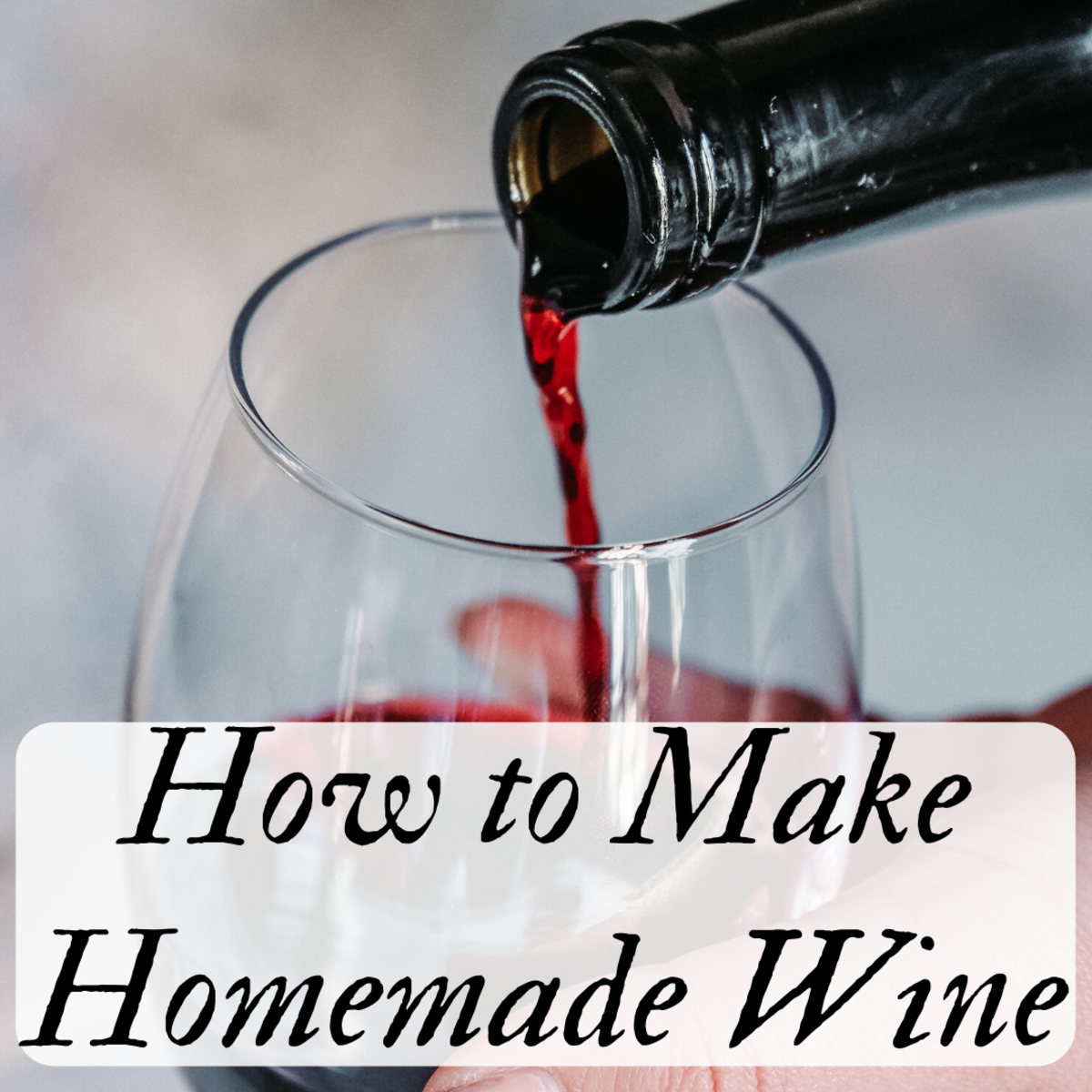 Home Winemaking Equipment