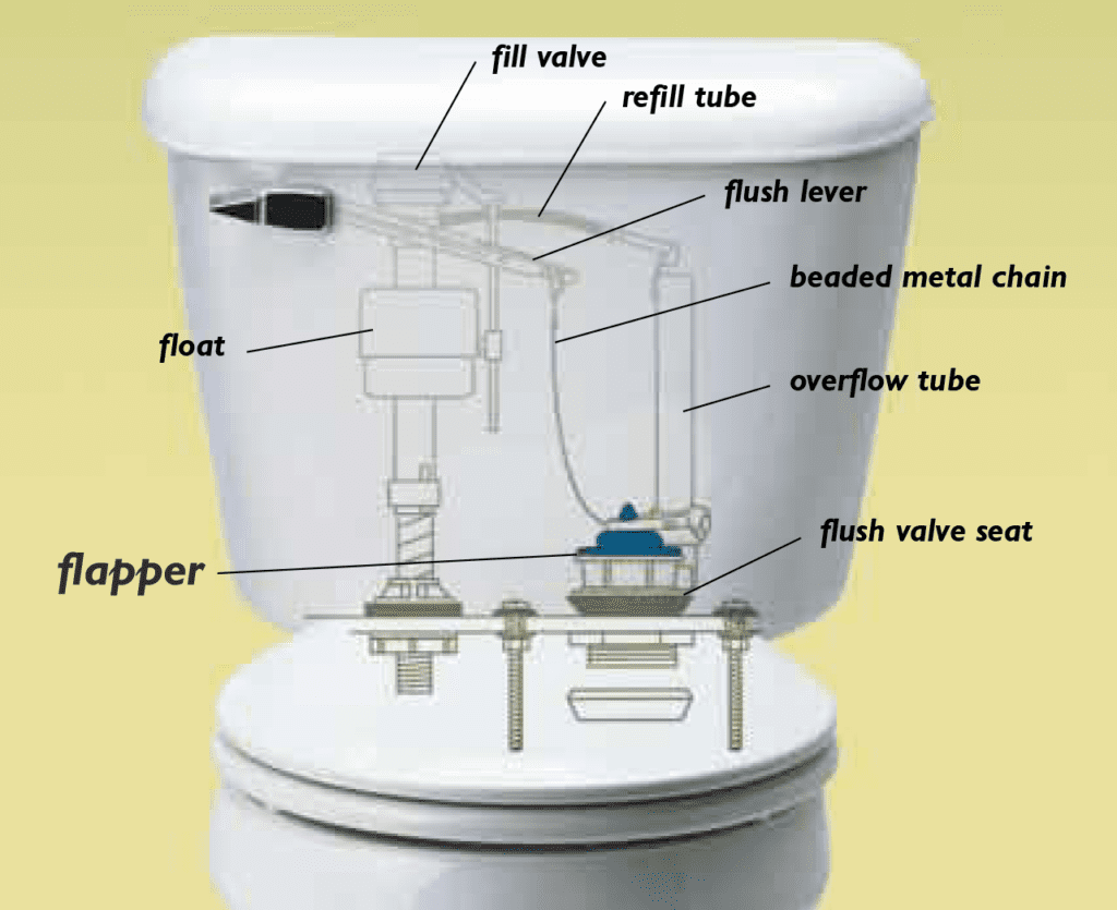 Steps to Replace a Toilet Flapper