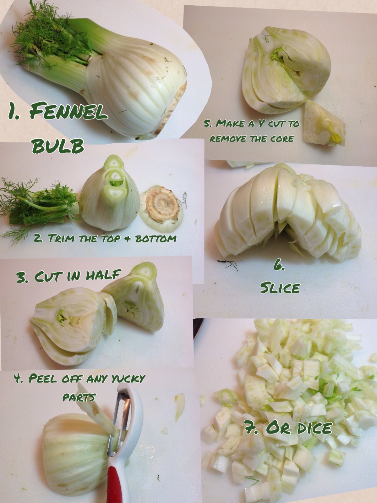 Cutting Fennel